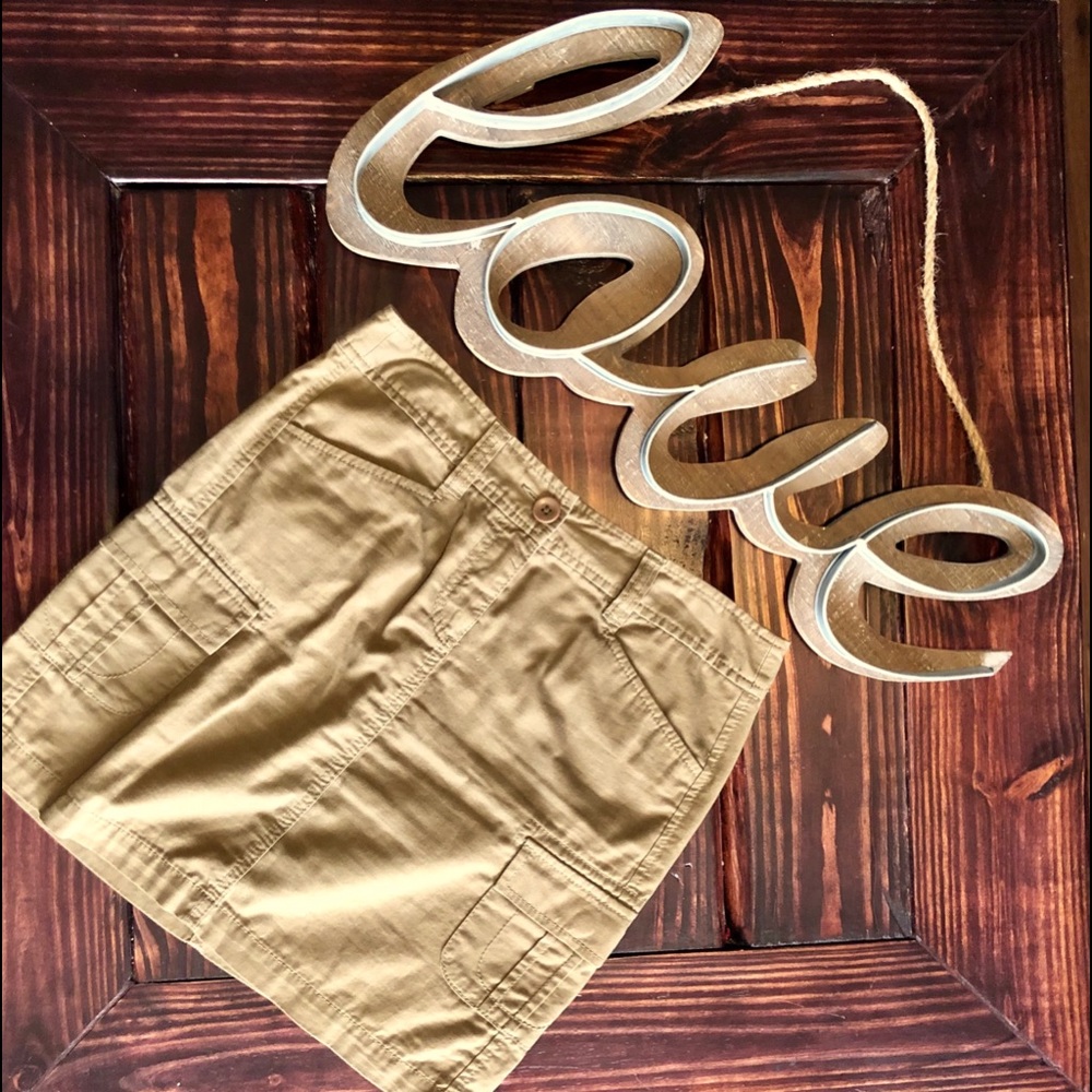Ann Taylor Loft Skirt